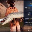 Catch photo