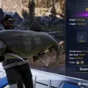 Catch photo