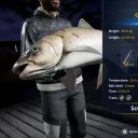 Catch photo