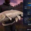 Catch photo