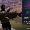 Catch photo