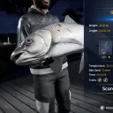 Catch photo