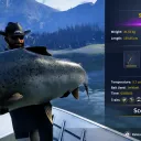 Catch photo