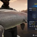 Catch photo