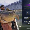 Catch photo