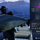 Catch photo
