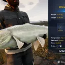 Catch photo