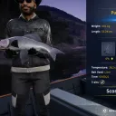 Catch photo