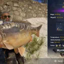 Catch photo