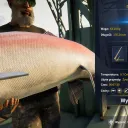Catch photo