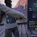 Catch photo