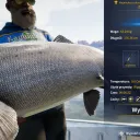 Catch photo