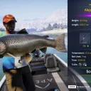 Catch photo