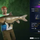 Catch photo