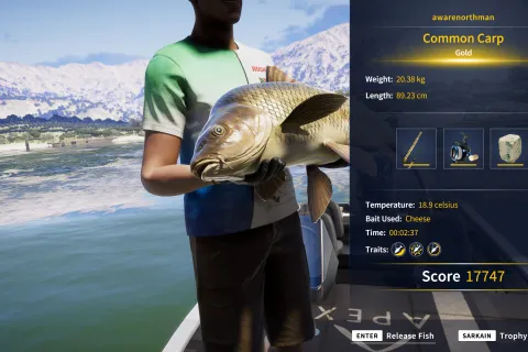 Catch photo