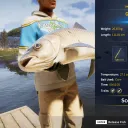Catch photo