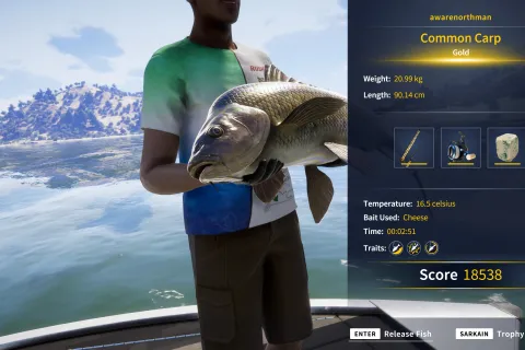 Catch photo