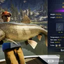 Catch photo