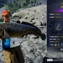 Catch photo