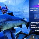Catch photo