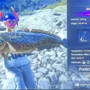 Catch photo