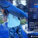 Catch photo