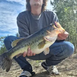 NoCapCaptain's profile photo